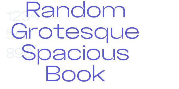 Random Grotesque Spacious Book font free