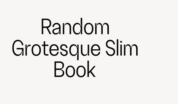 Random Grotesque Slim Book Font