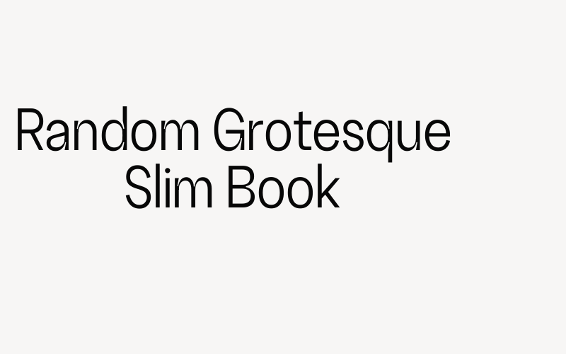 Random Grotesque Slim Book Font