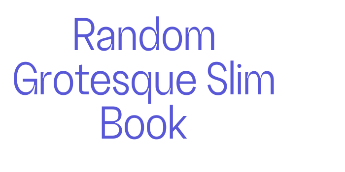 Random Grotesque Slim Book Font