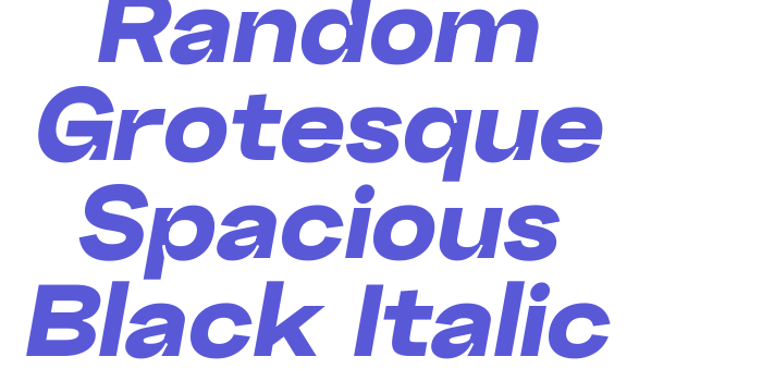 Random Grotesque Spacious Black Italic Font