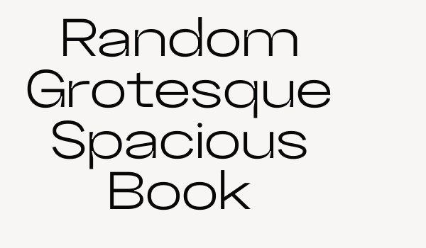 Random Grotesque Spacious Book Font