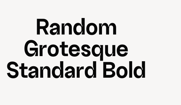 Random Grotesque Standard Bold Font