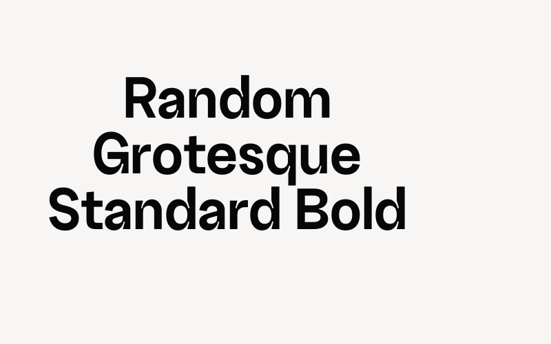 Random Grotesque Standard Bold Font