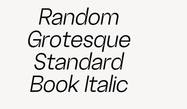 Random Grotesque Standard Book Italic Font