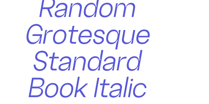 Random Grotesque Standard Book Italic Font