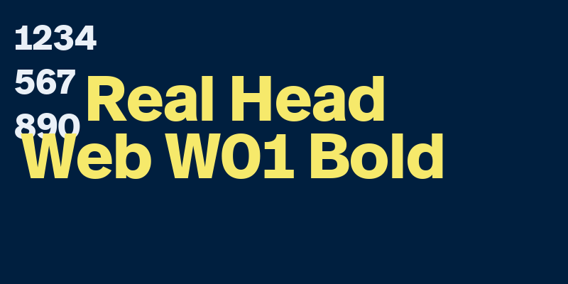 Real Head Web W01 Bold