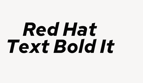 Red Hat Text Bold It Font