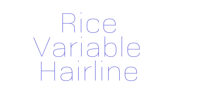 Rice Variable Hairline Font Download