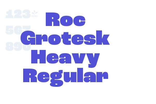 Roc Grotesk Heavy Regular