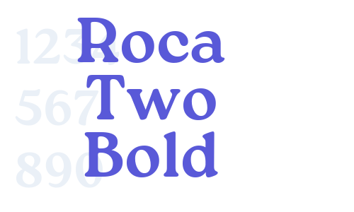 Roca Two Bold Font