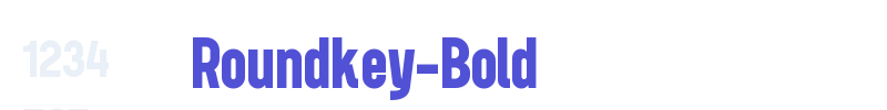 Roundkey-Bold-font