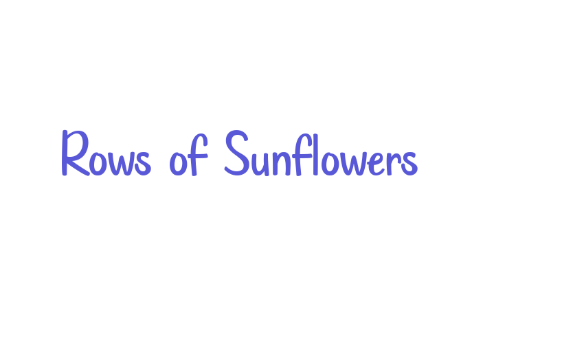 Rows of Sunflowers Font