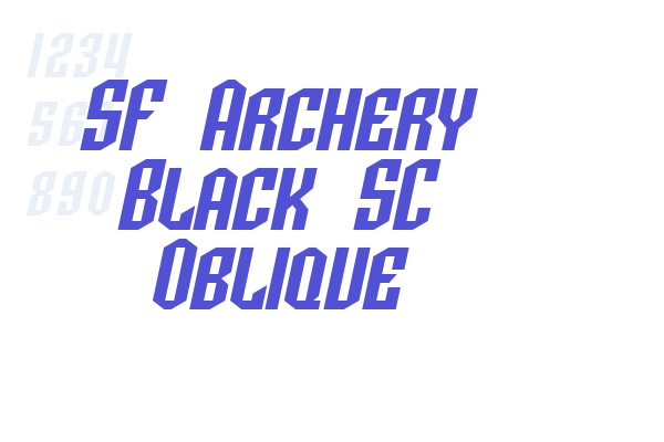 SF Archery Black SC Oblique
