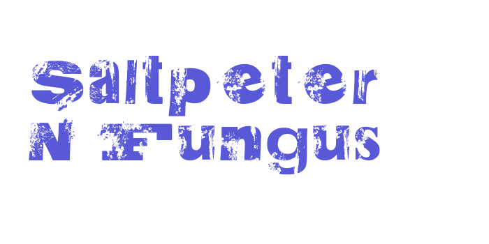 Saltpeter N Fungus Font Download