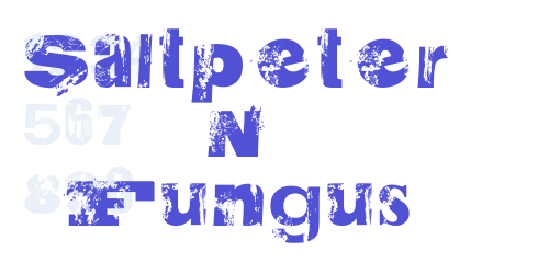 Saltpeter N Fungus-font-download