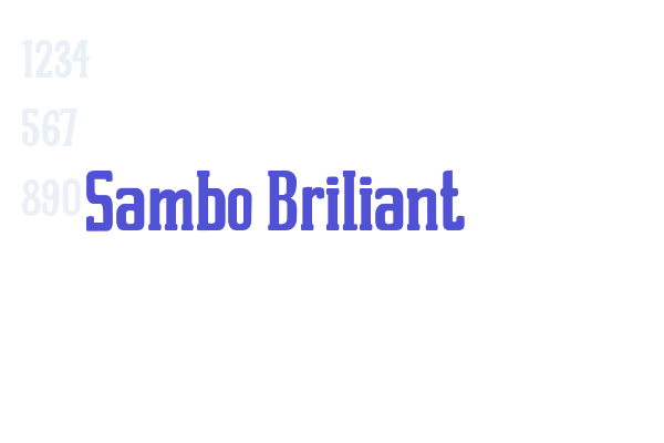 Sambo Briliant
