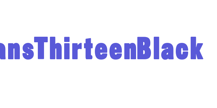 SansThirteenBlack Font