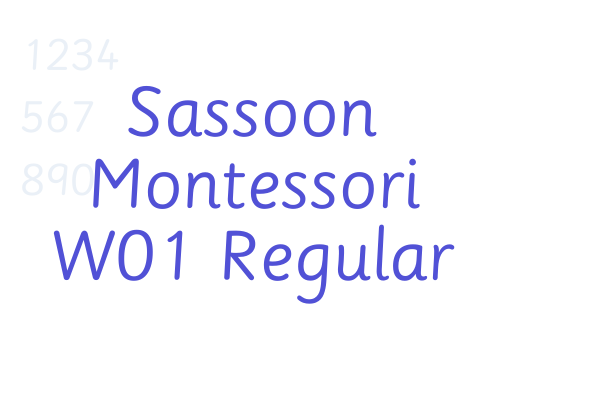 Sassoon Montessori W01 Regular