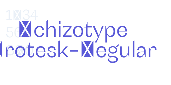 Schizotype Grotesk-Regular font free