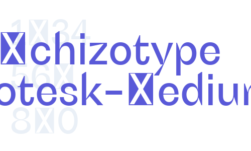 Schizotype Grotesk-Medium Font Download