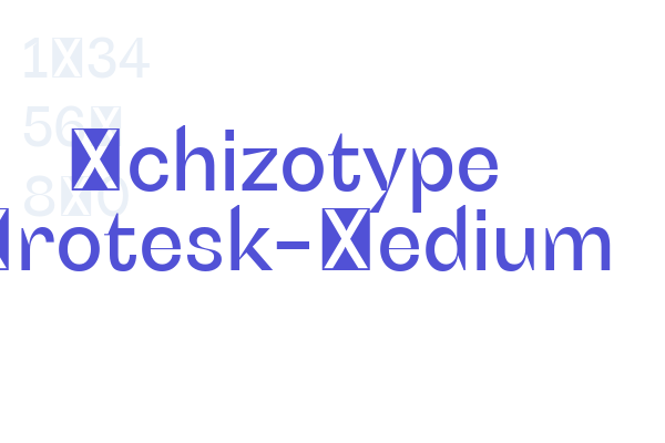 Schizotype Grotesk-Medium Font Download