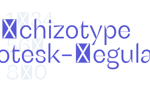 Schizotype Grotesk-Regular Font Download