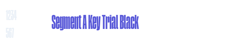 Segment A Key Trial Black-related font