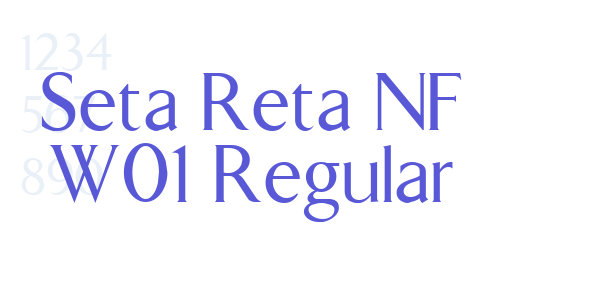 Seta Reta NF W01 Regular font free