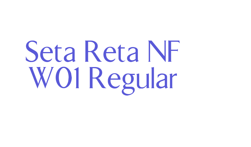 Seta Reta NF W01 Regular Font