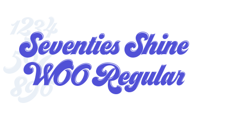 Seventies Shine W00 Regular