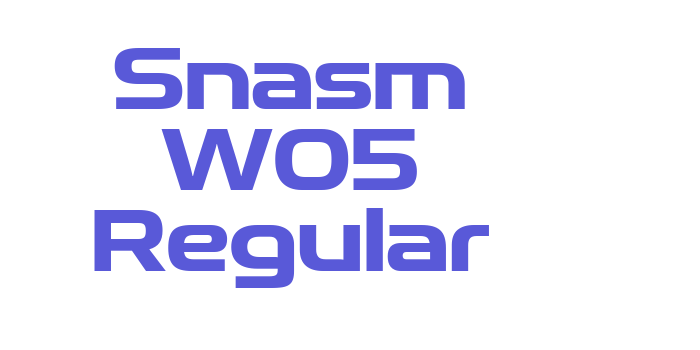 Snasm W05 Regular Font Download