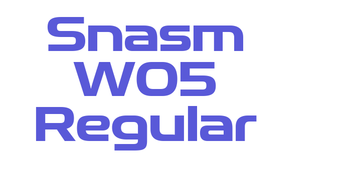 Snasm W05 Regular Font