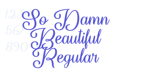 So Damn Beautiful Regular font free