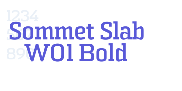 Sommet Slab W01 Bold font free