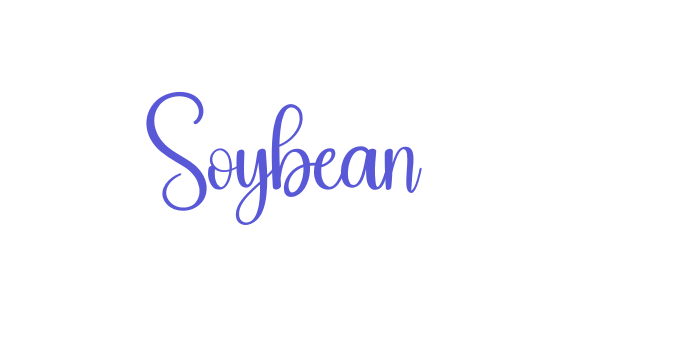 Soybean Font Download