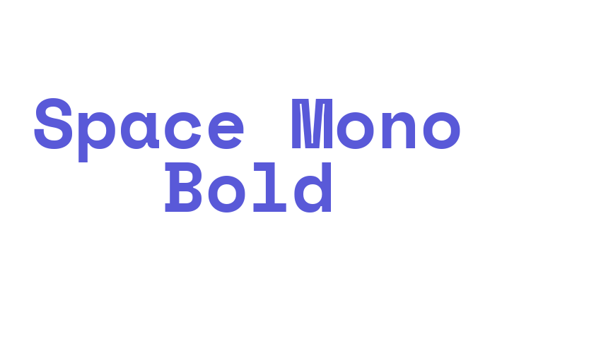 Space Mono Bold Font Download