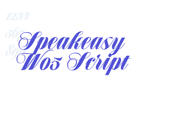 Speakeasy W05 Script