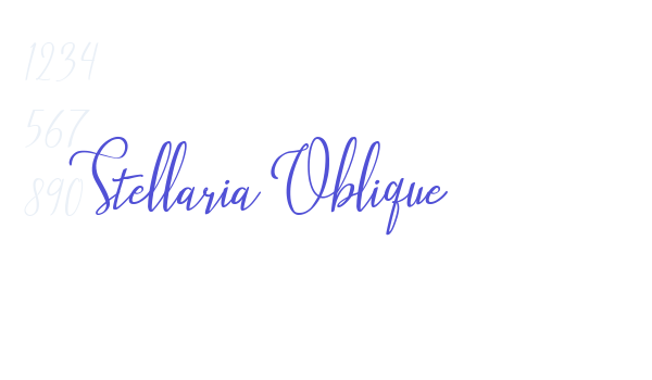 Stellaria Oblique font download