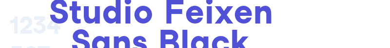 Studio Feixen Sans Black-font