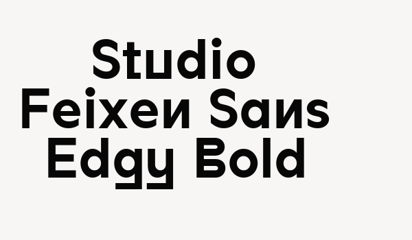 Studio Feixen Sans Edgy Bold Font