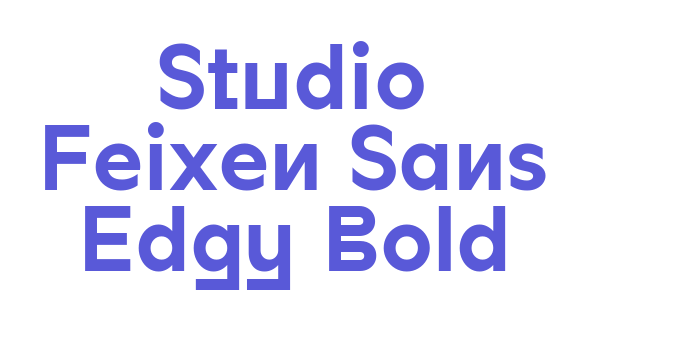 Studio Feixen Sans Edgy Bold Font Download