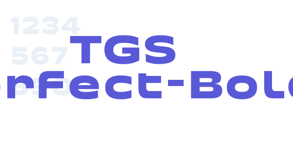 TGS Perfect-Bold font