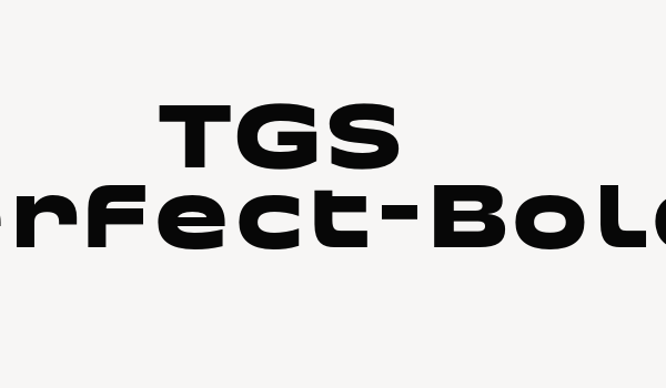 TGS Perfect-Bold Font