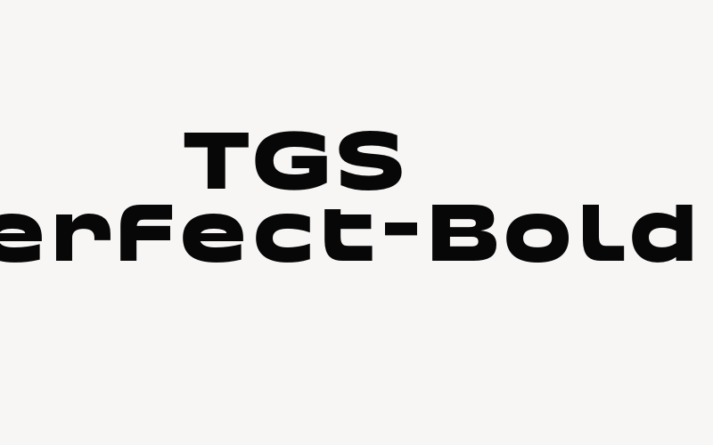 TGS Perfect-Bold Font