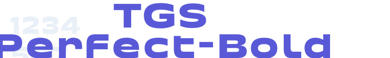 TGS Perfect-Bold font