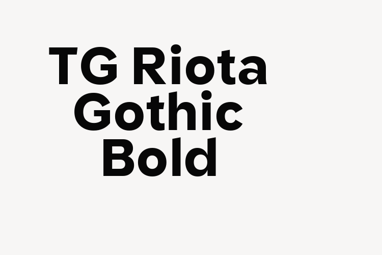 TG Riota Gothic Bold font download