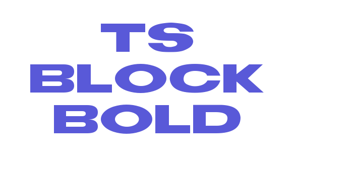 TS Block Bold Font Download