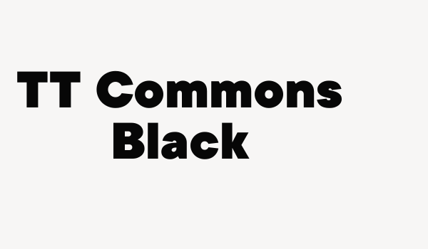 TT Commons Black Font