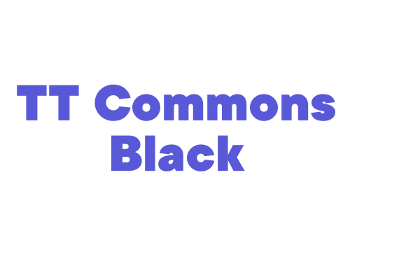 TT Commons Black Font